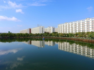 校園風(fēng)光