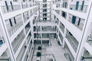 校園風(fēng)光
